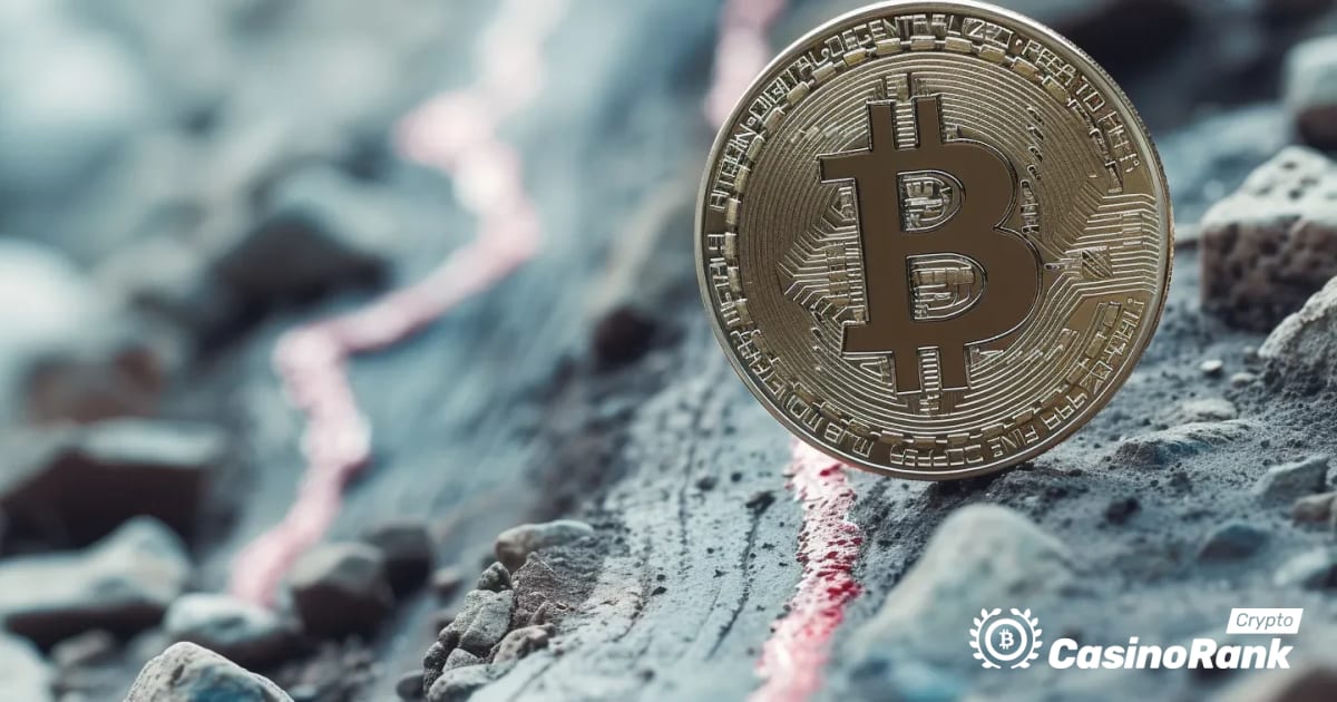 Bitcoins pris nÃ¤rmar sig $50 000 mitt i hausseartad fart och kommande halveringsevenemang